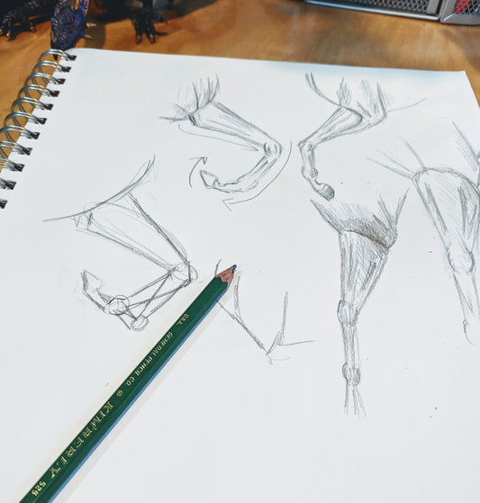 Working on some anatomy sketches