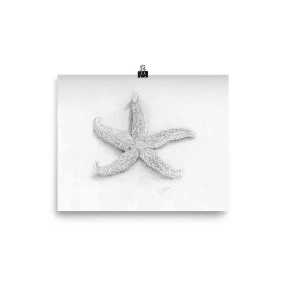 starfish Beach Home Contemporary Minimalist Decor Coastal Pencil Drawing Wall Art Print Poster