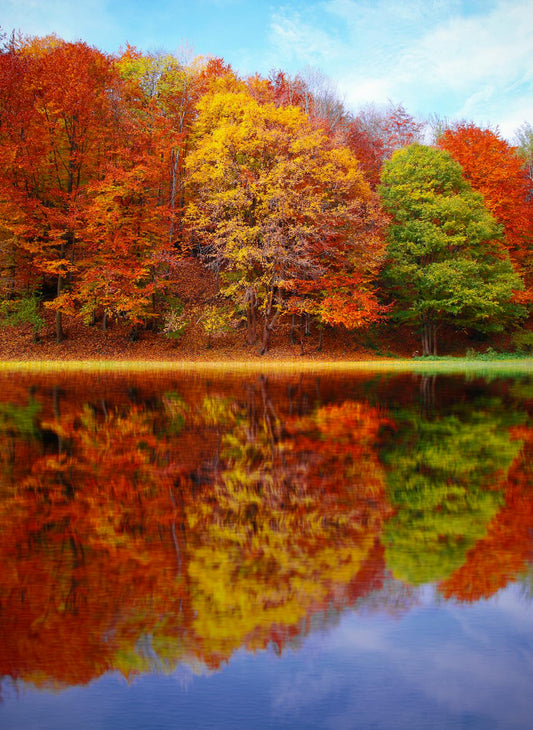 Seasonal Colors
