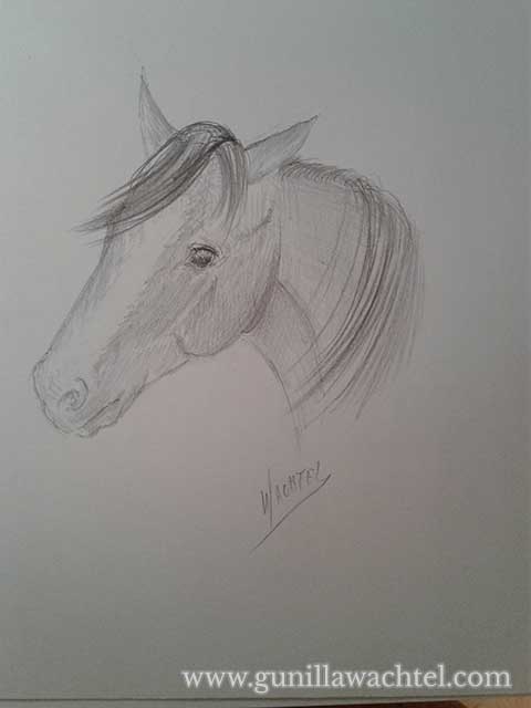 Sketchbook Sunday - Horse Concept Sketch