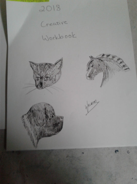 Workbook work in progress 2