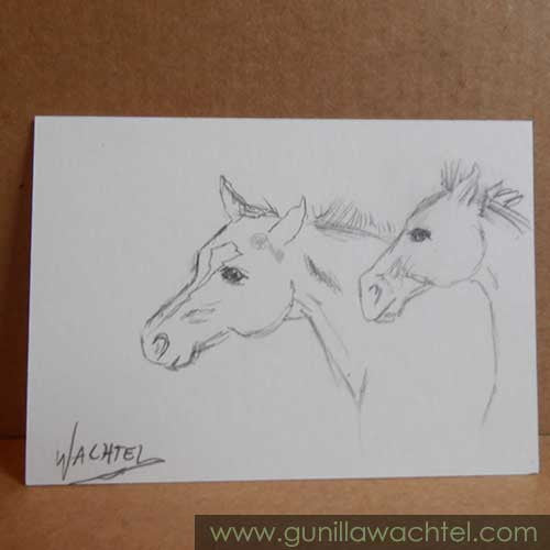 Two Young Horses ACEO