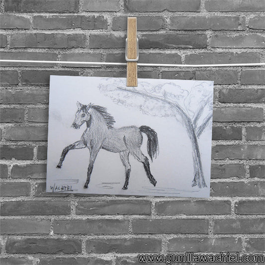 Arabian Horse and Japanese Blossom Tree - ACEO original drawing