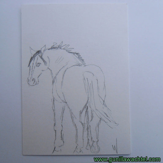 The Story Behind the ACEO - Daily Drawing 27