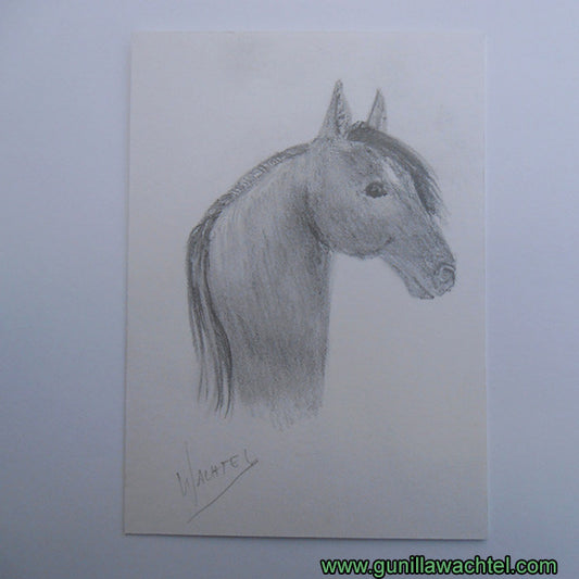 The Story Behind the ACEO - Horse