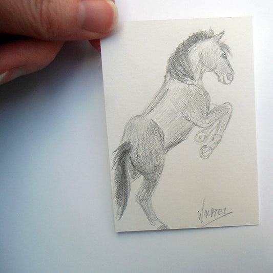 The Story Behind the ACEO - Daily Drawing 19 - horse art