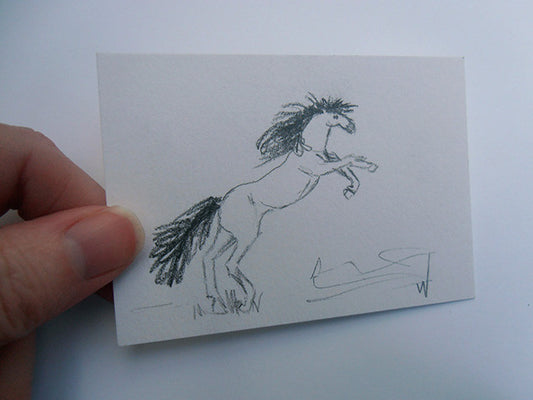 The Story Behind the ACEO - Daily Drawing 30 - horse drawing