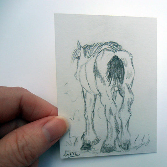 The Story Behind the ACEO - Daily Drawing 26