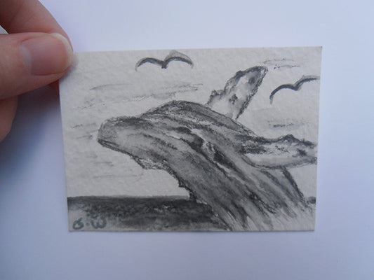 The Story Behind the ACEO - Humpback Whale Breach