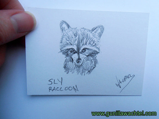 Horses and A Raccoon - ACEO Artworks - Make an Offer