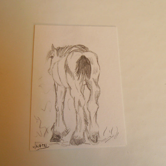 ACEO horses pencil drawings