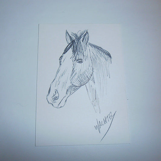 The ACEO Stable - Bruno