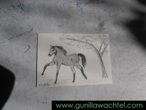ACEO Horse Drawing Work In Progress