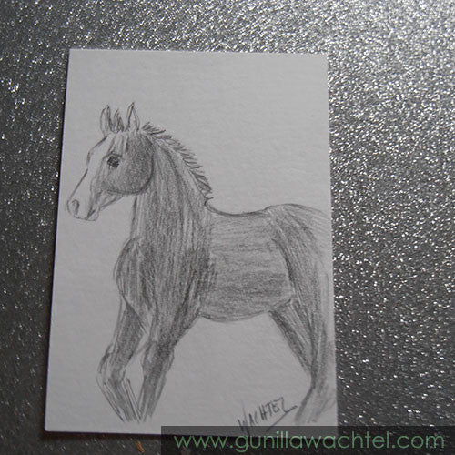 Sketchbook and ACEO cards