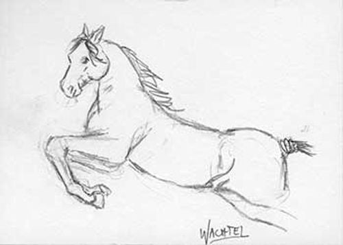 eBay Auction - Daily Drawing 16 Equine Horse Art Original ACEO