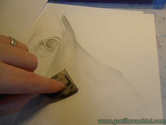 Horse Drawing Artwork In Progress