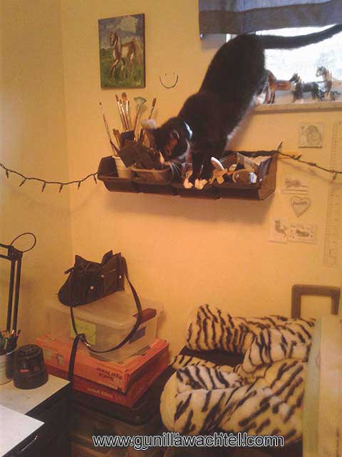 Studio Helper Saturday - Featuring Blazey