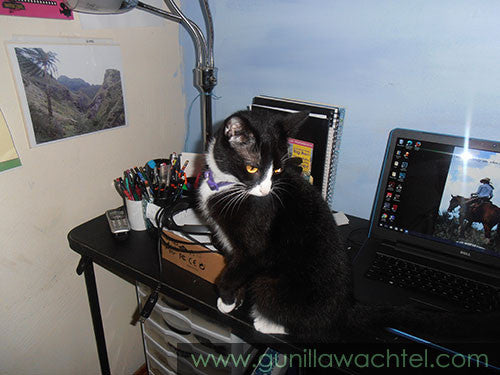 Laptop Not Co-Operating - and Some Very Cute Kitties