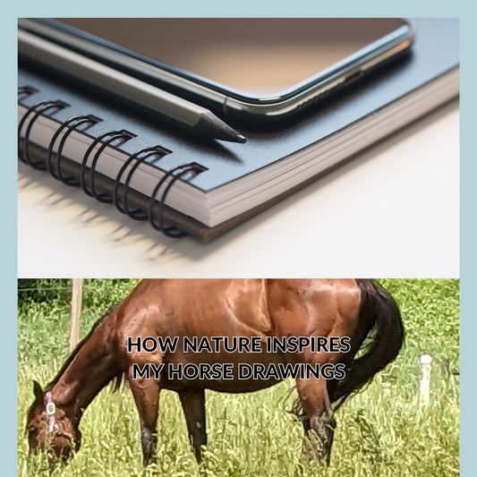 How Nature Inspires My Horse Pencil Drawings