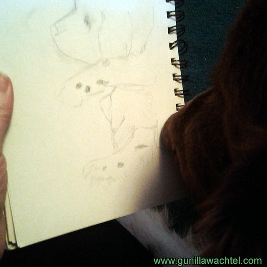 Cleo the Studio Helper and Sketches of a Newfoundland dog