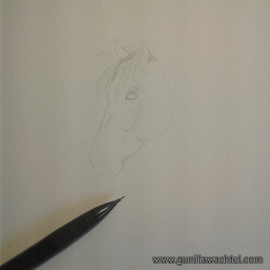 Pages from the Sketchbook - Horse Drawing