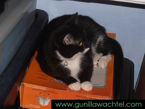 Tuxie My Helper