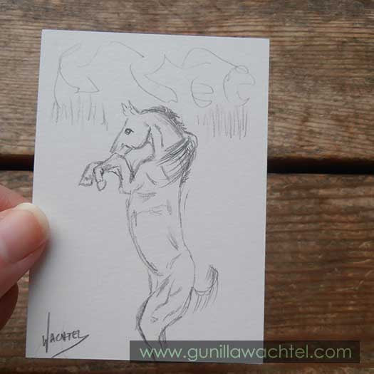 Daily Drawing #7 - Rearing Horse