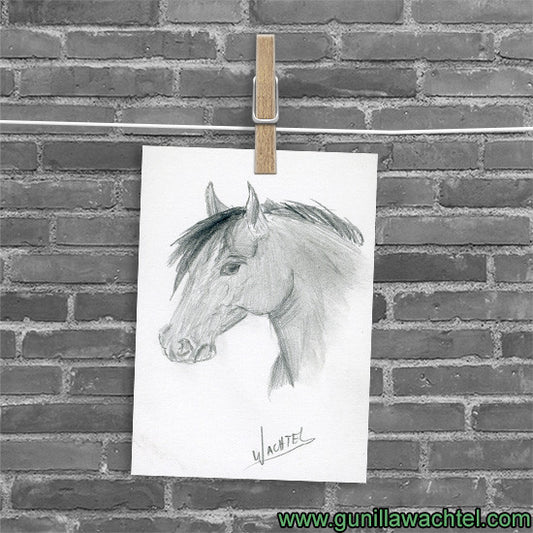 Studio Vault - Horse ACEO drawing