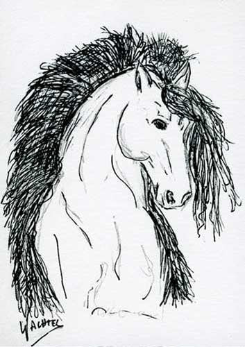 Studio Saturday - Horse Quote
