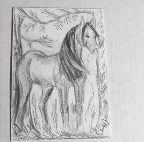 An Original Horse ACEO Drawing (Ending Soon)