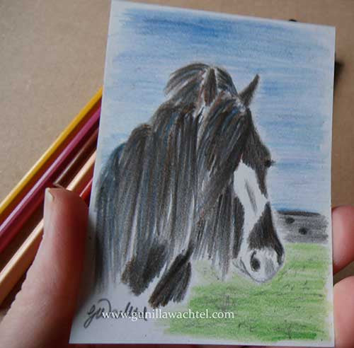 Original Color Pencil Drawing of a Gypsy Vanner Horse