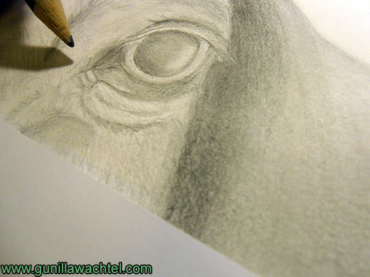 Some More Work on the Newest Drawing