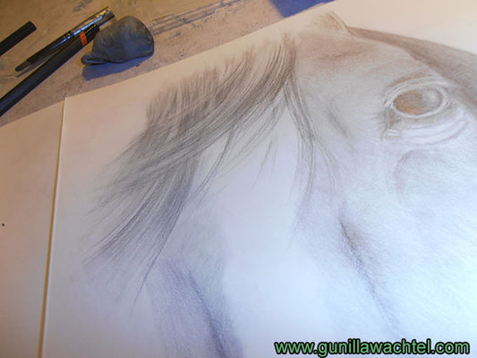 Artwork in Progress - Horse Drawing