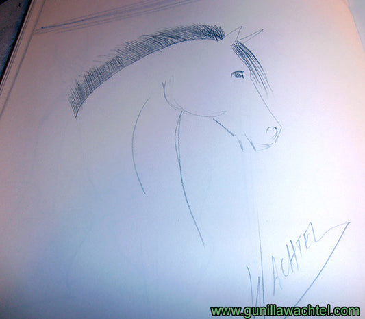 Horse Sketch