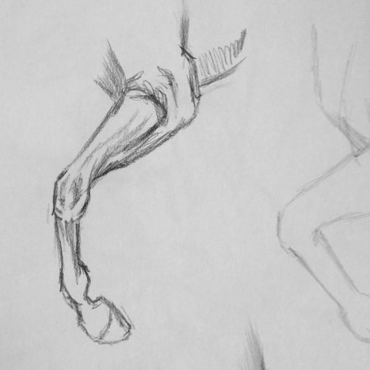 Pages from the sketchbook - horse sketches