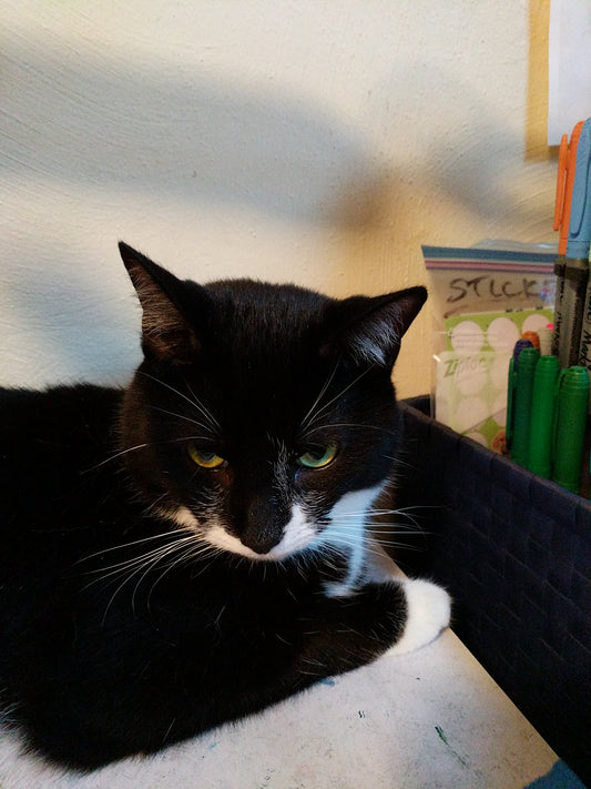 Tuxie the studio helper