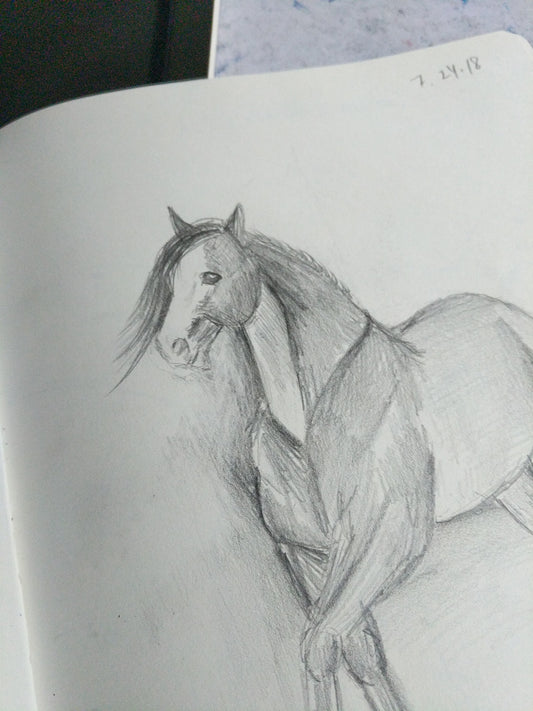 Pages from the sketchbook