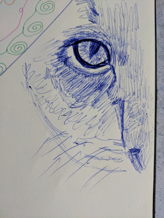 Pages from the sketchbook