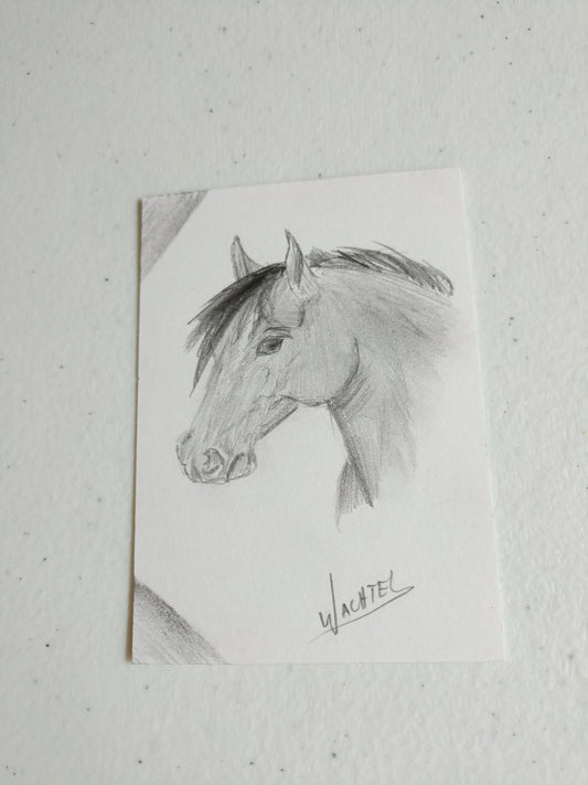 ACEO horse art eBay auction