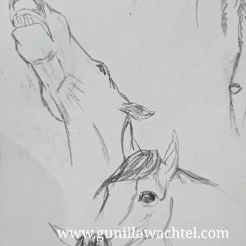 Pages from the sketchbook
