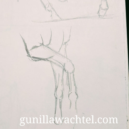 More Sketchbook adventures