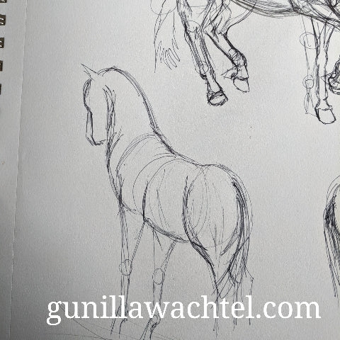 The sketchbook adventures continue
