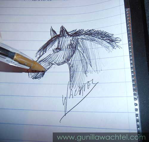 A Little Horse Sketch