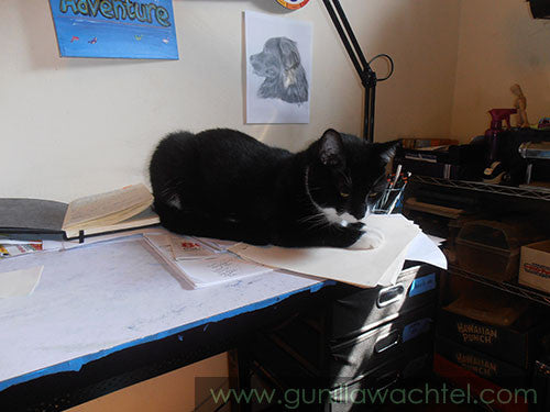 A Shout-Out To The Fabulous Miss Tuxie
