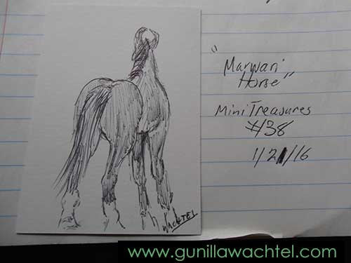The Marwari Horse - Mini Treasures #38