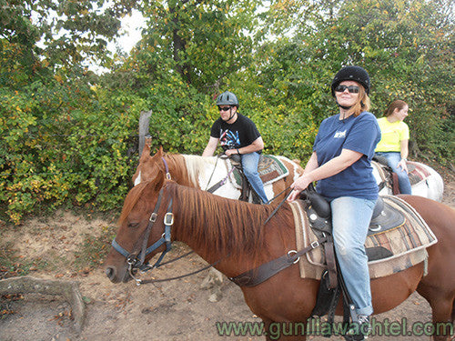 Horses - An Inspiration