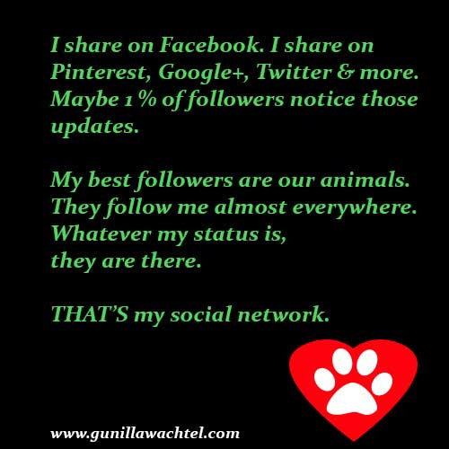 My Best Followers
