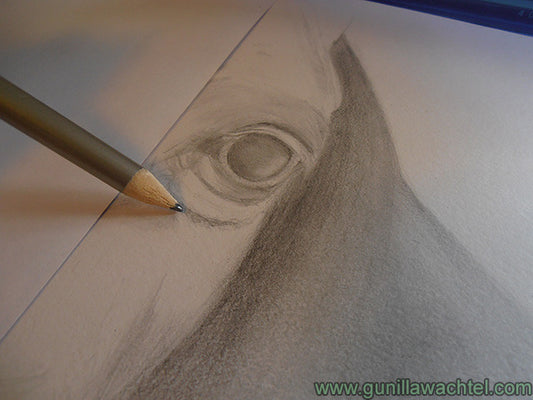 Back to Work on the Horse Drawing