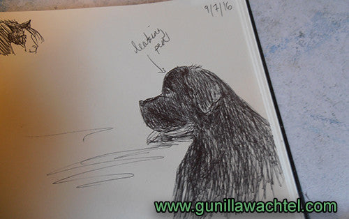 The Sketchbook Zone - Friday