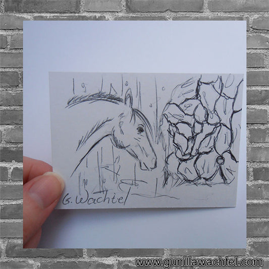 What is an ACEO anyways?